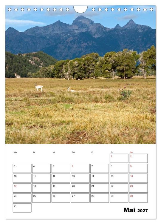 Produktbild: Yellowstone und Grand Tetons Nationalparks (Wandkalender 2027 DIN A4 hoch), CALVENDO Monatskalender