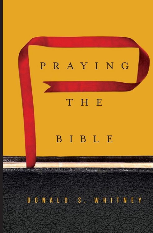 Produktbild: Praying the Bible