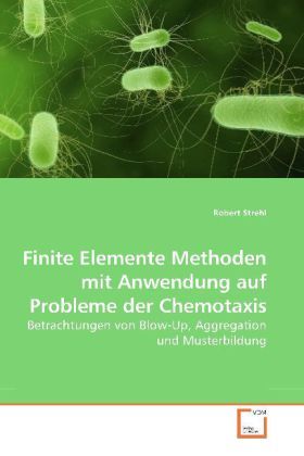 Produktbild: Strehl, R: Finite Elemente Methoden mit Anwendung auf Proble