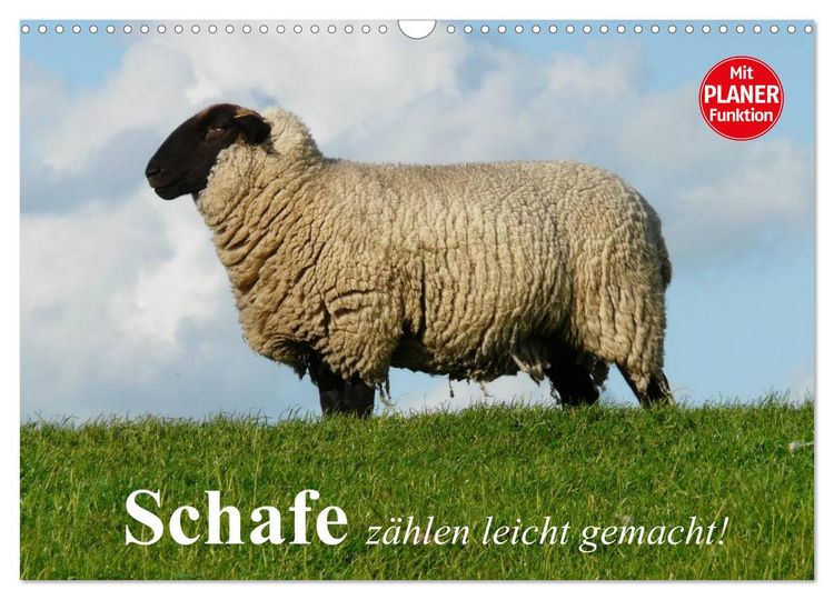 Produktbild: Schafe z&auml;hlen leicht gemacht! (Wandkalender 2026 DIN A3 quer), CALVENDO Monatskalender
