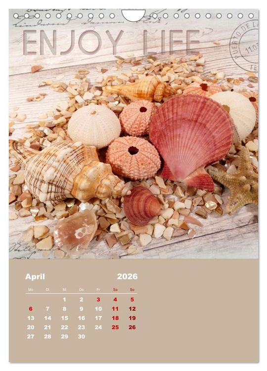 Produktbild: Geschenke vom Meer (Wandkalender 2026 DIN A4 hoch), CALVENDO Monatskalender