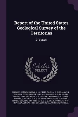 Produktbild: Report of the United States Geological Survey of the Territories