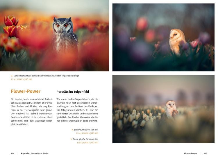 Produktbild: Tierische Momente fotografieren