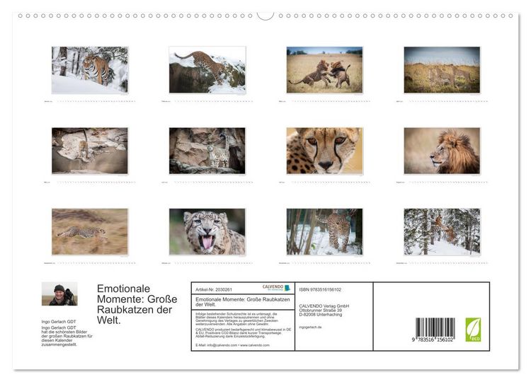 Produktbild: Emotionale Momente: Gro&szlig;e Raubkatzen der Welt. (hochwertiger Premium Wandkalender 2026 DIN A2 quer), Kunstdruck in Hochglanz