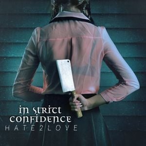 Produktbild: Hate2love