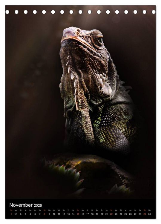 Produktbild: Auge in Auge mit coolen Typen - REPTILIEN (Tischkalender 2026 DIN A5 hoch), CALVENDO Monatskalender
