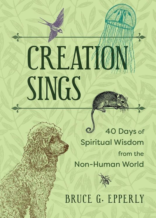 Produktbild: Creation Sings