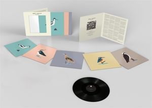 Produktbild: AVOCET (Ltd Art Print Ed.)