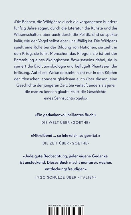 Produktbild: Rauschen in der Nacht