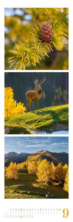Produktbild: Nature Triplet-Kalender 2027
