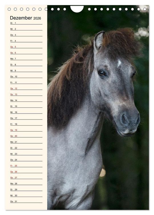 Produktbild: Isl&auml;nder Geburtstagskalender (Wandkalender 2026 DIN A4 hoch), CALVENDO Monatskalender