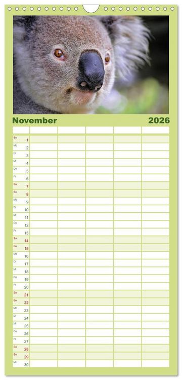 Produktbild: Familienplaner 2026 - Koala - kleiner Teddy mit 5 Spalten (Wandkalender, 21 x 45 cm) CALVENDO