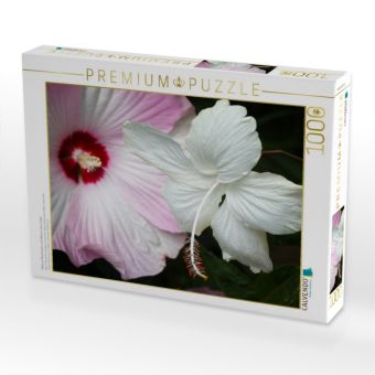 Produktbild: CALVENDO Puzzle Hibiscus Moscheutos und Hibiscus Swan Lake | 1000 Teile Lege-Gr&ouml;&szlig;e 64x48cm Foto-Puzzle f&uuml;r gl&uuml;ckliche Stunden