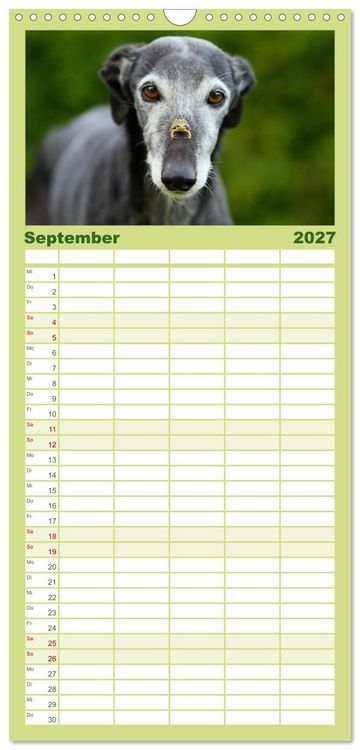Produktbild: Familienplaner 2027 - Der Windhundekalender mit 5 Spalten (Wandkalender, 21 x 45 cm) CALVENDO