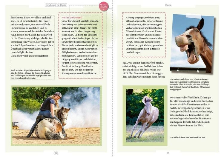 Produktbild: Enrichment f&uuml;r Pferde