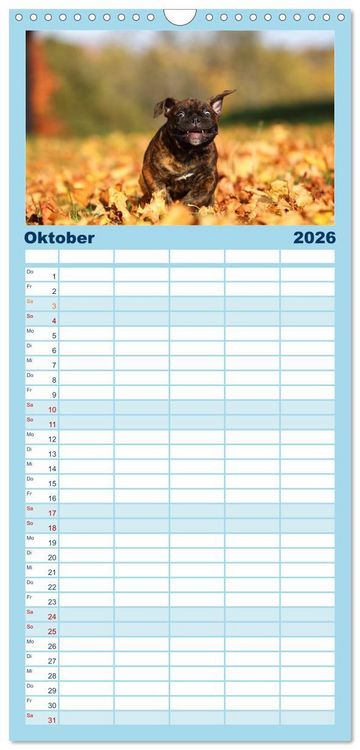 Produktbild: Familienplaner 2026 - Welpen - Puppies mit 5 Spalten (Wandkalender, 21 x 45 cm) CALVENDO
