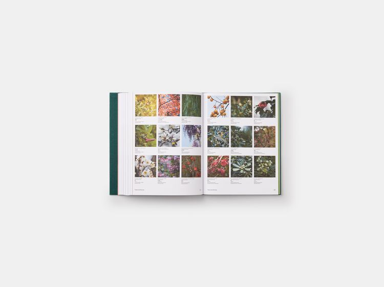 Produktbild: The Japanese Garden