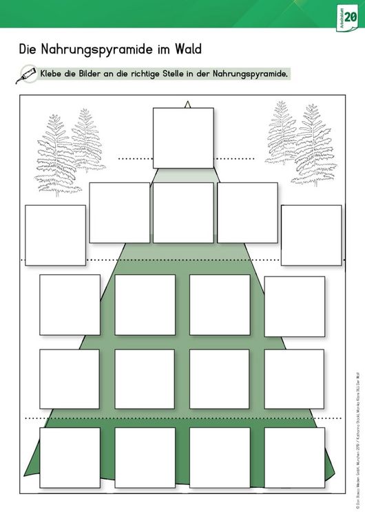 Produktbild: Arbeitsmaterial Grundschule. Sachunterricht: Der Wolf.