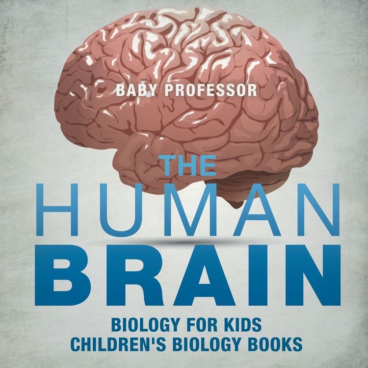 Produktbild: The Human Brain - Biology for Kids | Children's Biology Books