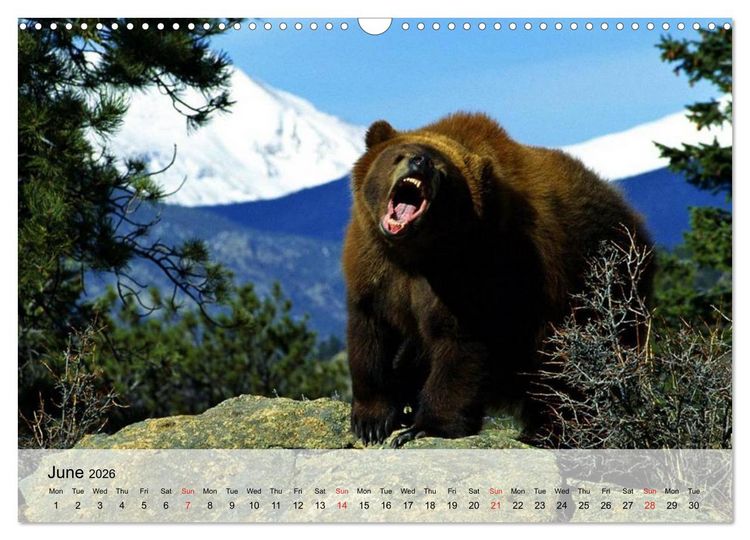 Produktbild: Canada Impressions (Wall Calendar 2026 DIN A3 landscape), CALVENDO 12 Month Wall Calendar
