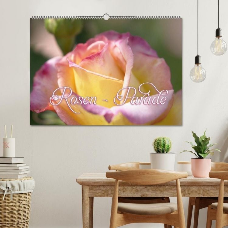 Produktbild: Rosen - Parade (Wandkalender 2026 DIN A2 quer), CALVENDO Monatskalender