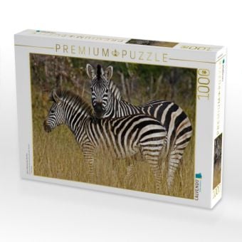 Produktbild: CALVENDO Puzzle Zebra-Kleinfamilie, Namibia | 1000 Teile Lege-Gr&ouml;&szlig;e 64x48cm Foto-Puzzle f&uuml;r gl&uuml;ckliche Stunden