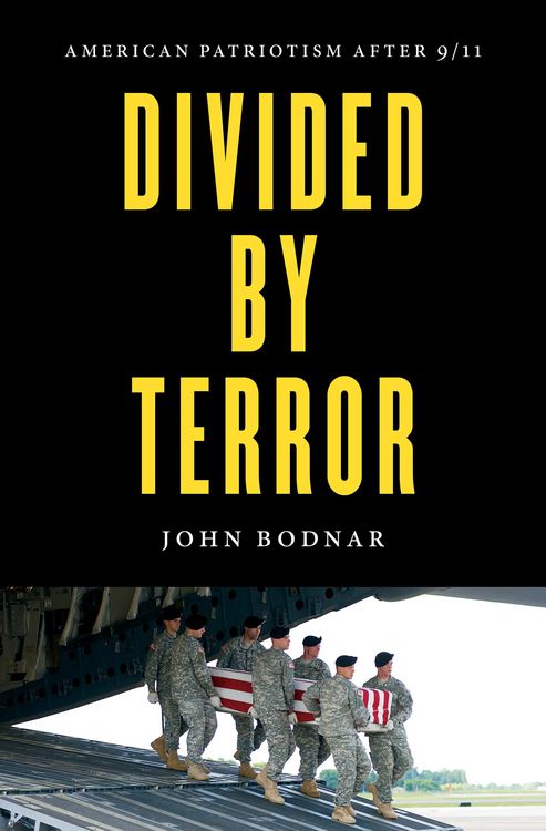 Produktbild: Divided by Terror