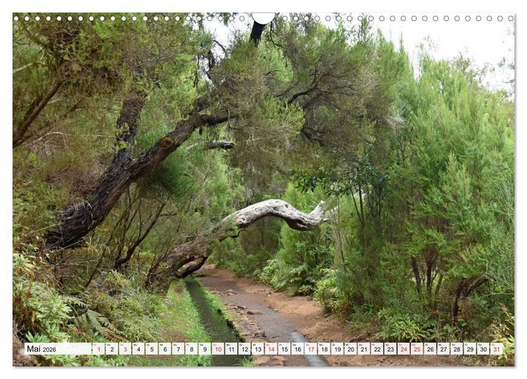 Produktbild: MADEIRA, Trauminsel im Atlantik (Wandkalender 2026 DIN A3 quer), CALVENDO Monatskalender