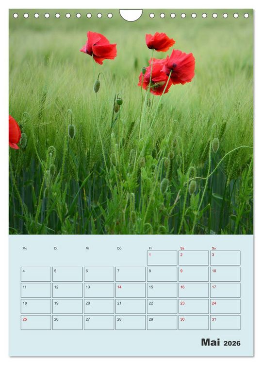 Produktbild: Moin Heiligenhafen (Wandkalender 2026 DIN A4 hoch), CALVENDO Monatskalender