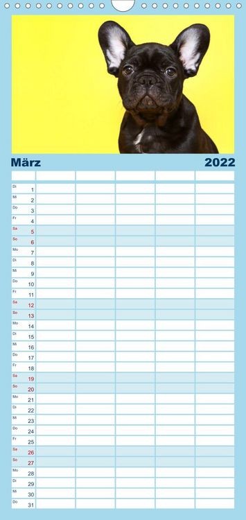 Produktbild: Bullys - Franz&ouml;sische Bulldoggen 2022 - Familienplaner hoch (Wandkalender 2022 , 21 cm x 45 cm, hoch)