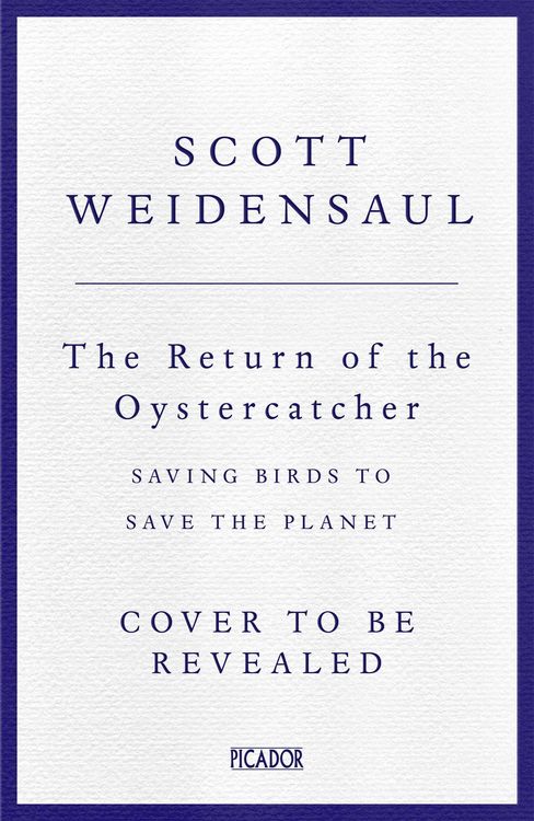 Produktbild: Weidensaul, S: Return of the Oystercatcher