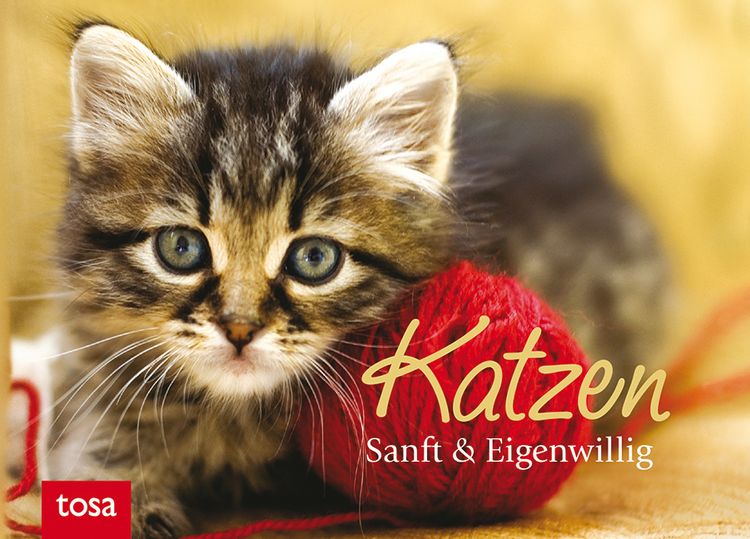 Produktbild: Katzen