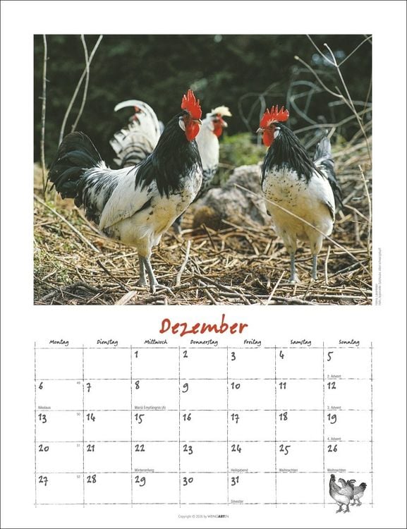 Produktbild: Der H&uuml;hnerkalender 2027