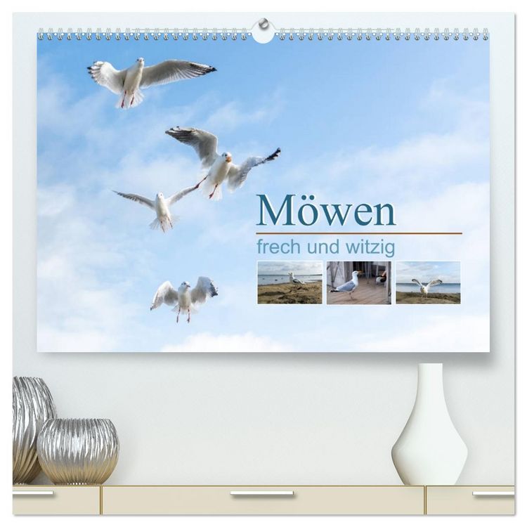 Produktbild: M&ouml;wen frech und witzig (hochwertiger Premium Wandkalender 2026 DIN A2 quer), Kunstdruck in Hochglanz