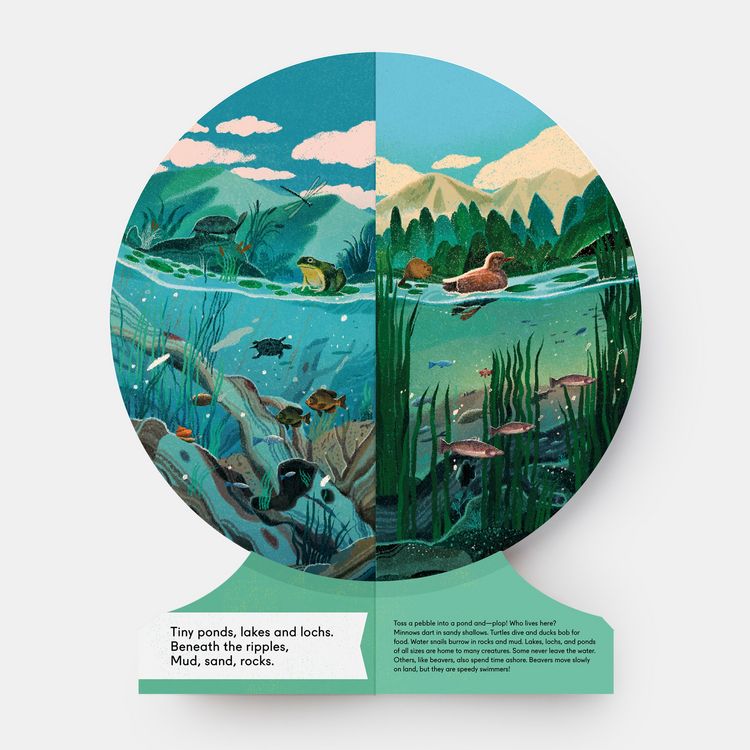 Produktbild: Our Underwater World