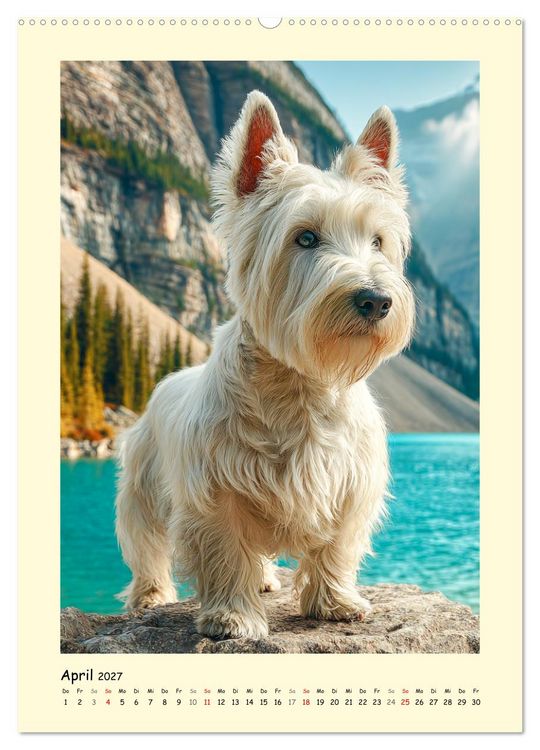 Produktbild: Scottish Terrier. W&uuml;rdevoller und robuster Gentlemen (hochwertiger Premium Wandkalender 2027 DIN A2 hoch), Kunstdruck in Hochglanz
