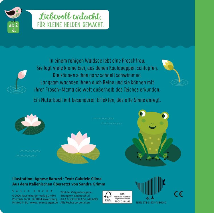 Produktbild: Edition Piepmatz: Wie kleine Tiere gro&szlig; werden: Der kleine Frosch