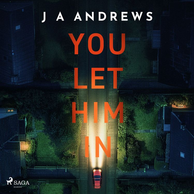 Produktbild: You Let Him In: A tense psychological thriller of family lies and betrayal