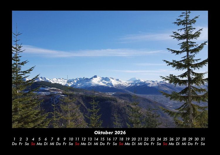 Produktbild: B&auml;ume 2026 Fotokalender DIN A3
