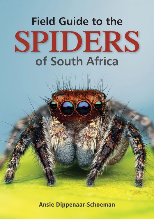 Produktbild: Field Guide to the Spiders of South Africa