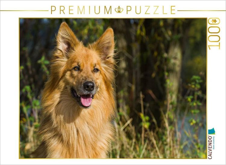 Produktbild: CALVENDO Puzzle Harzer Fuchs Portr&auml;t | 1000 Teile Lege-Gr&ouml;&szlig;e 64x48cm Foto-Puzzle f&uuml;r gl&uuml;ckliche Stunden