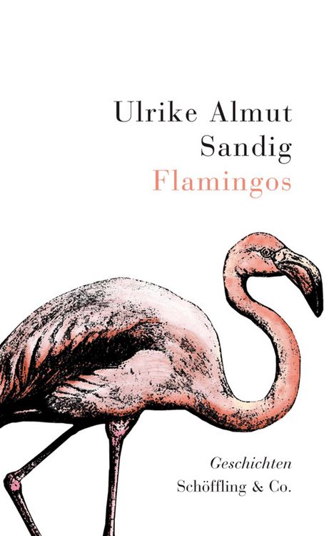 Produktbild: Flamingos