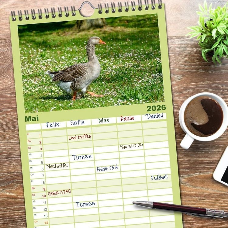 Produktbild: Familienplaner 2026 - Graug&auml;nse in heimischer Umgebung mit 5 Spalten (Wandkalender, 21 x 45 cm) CALVENDO