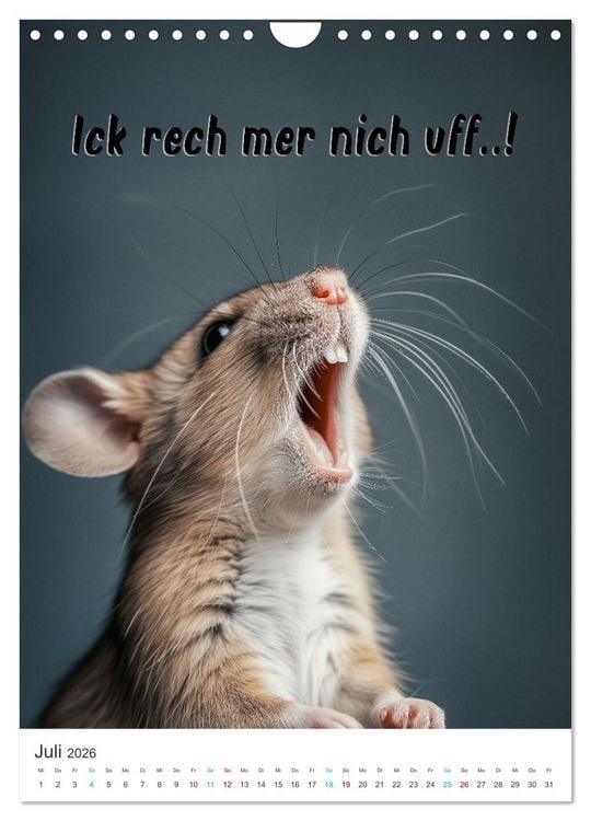 Produktbild: Lustige Tiere (Wandkalender 2026 DIN A4 hoch), CALVENDO Monatskalender