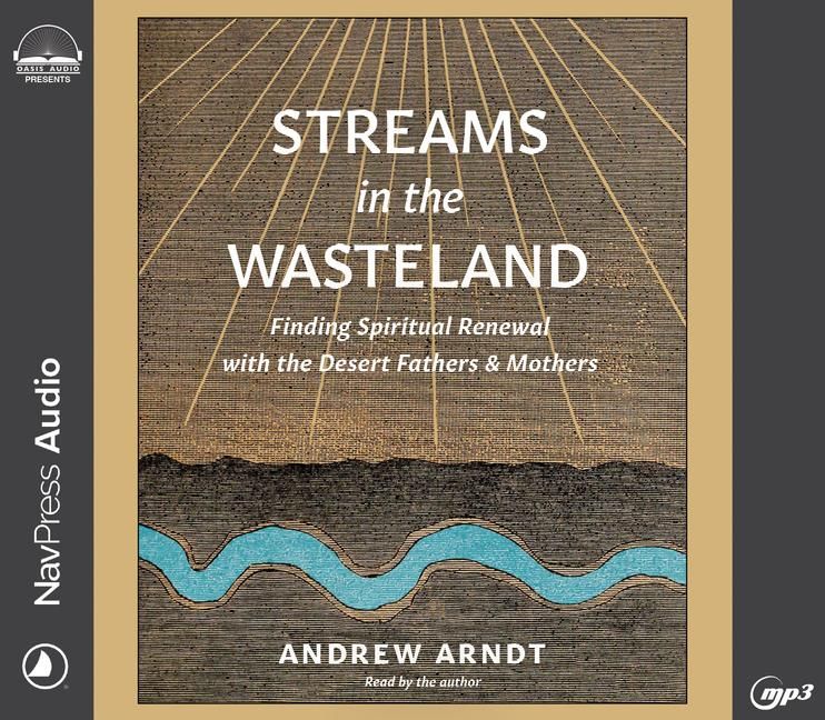 Produktbild: Streams in the Wasteland