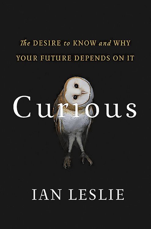 Produktbild: Curious
