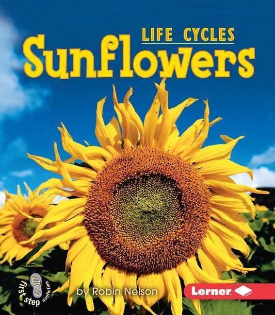 Produktbild: Sunflowers