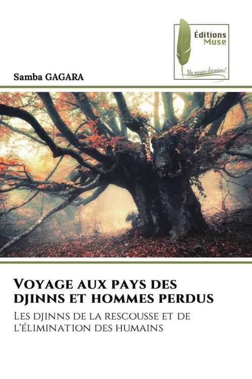 Produktbild: Voyage aux pays des djinns et hommes perdus