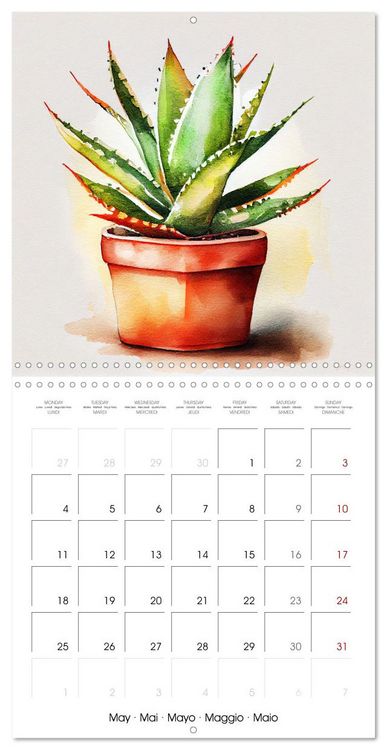 Produktbild: The Art of House Plants (Wall Calendar 2026 12 &times; 12 Inch) CALVENDO 12 Month Wall Calendar