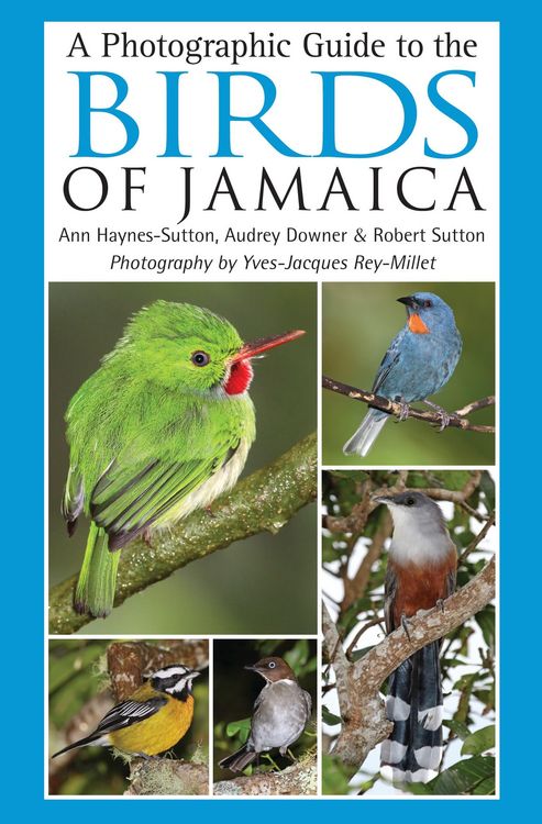 Produktbild: Haynes-Sutton, A: Photographic Guide to the Birds of Jamaica